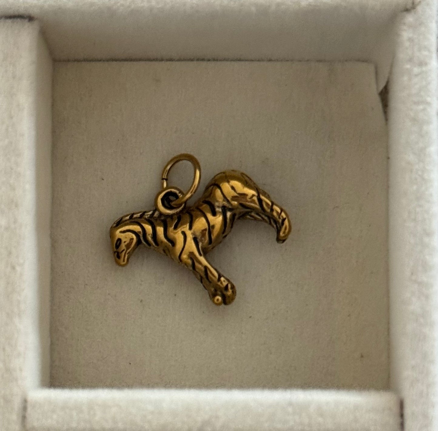 Zebra Charm