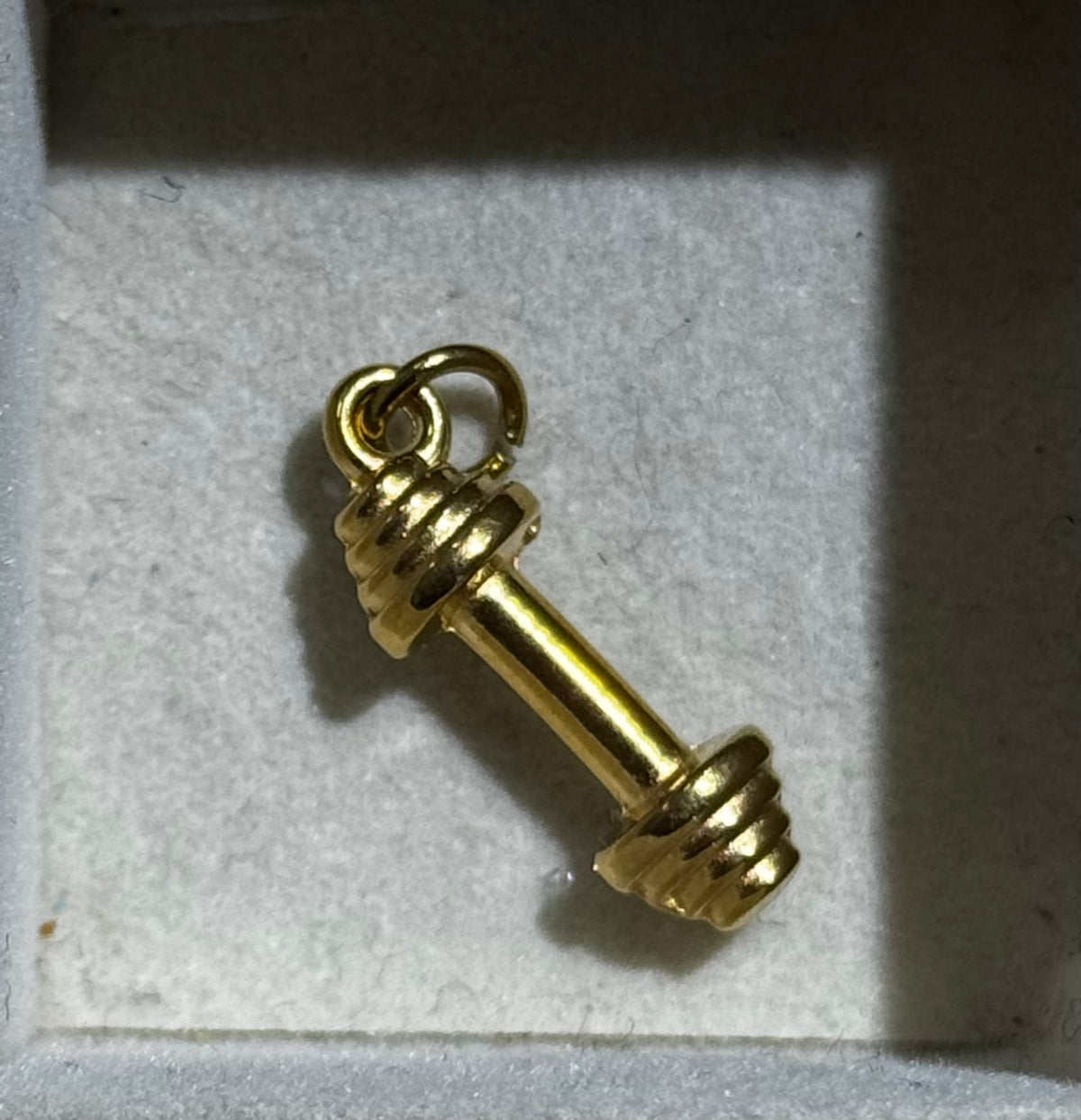 Dumbell Charm