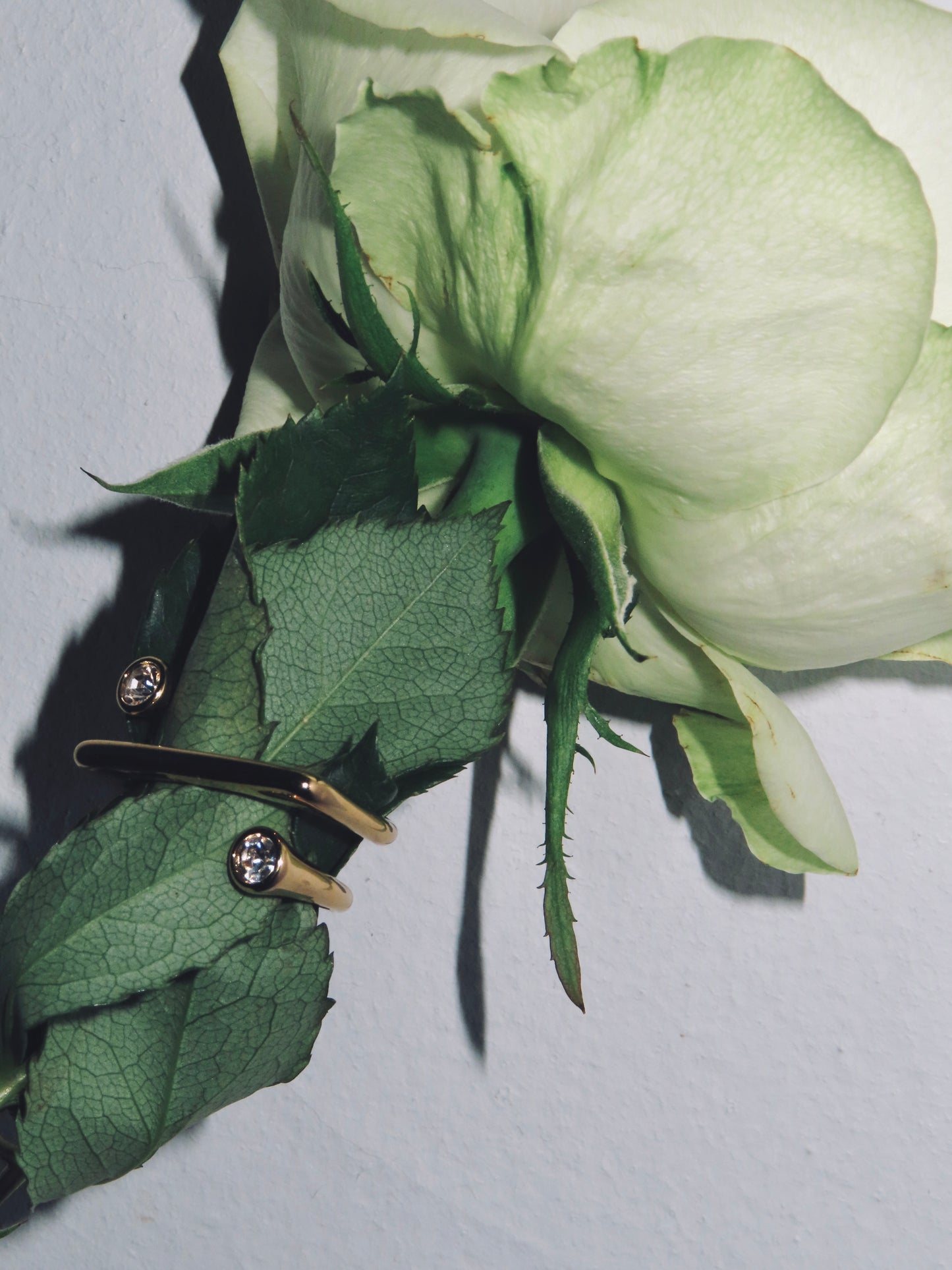 Roller Ring (Adjustable) (Tarnish Free)