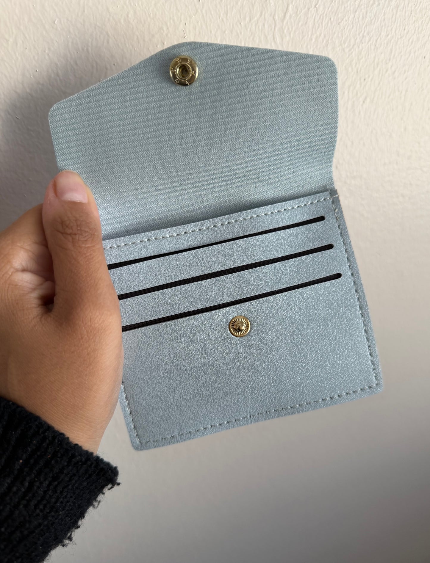 Coin & Cash Purse
