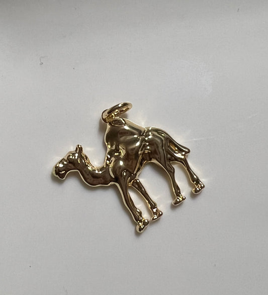 Camel Charm